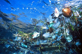 plastic waste in pacific